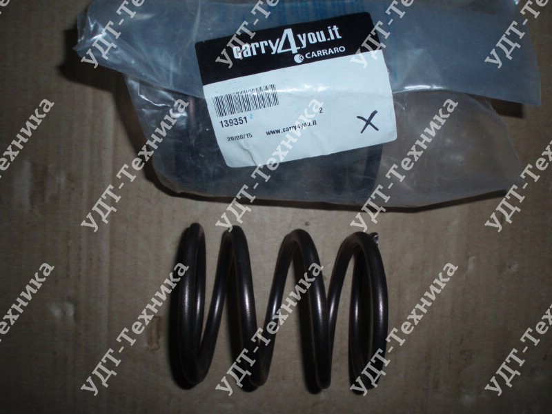 CA0139351 Пружина