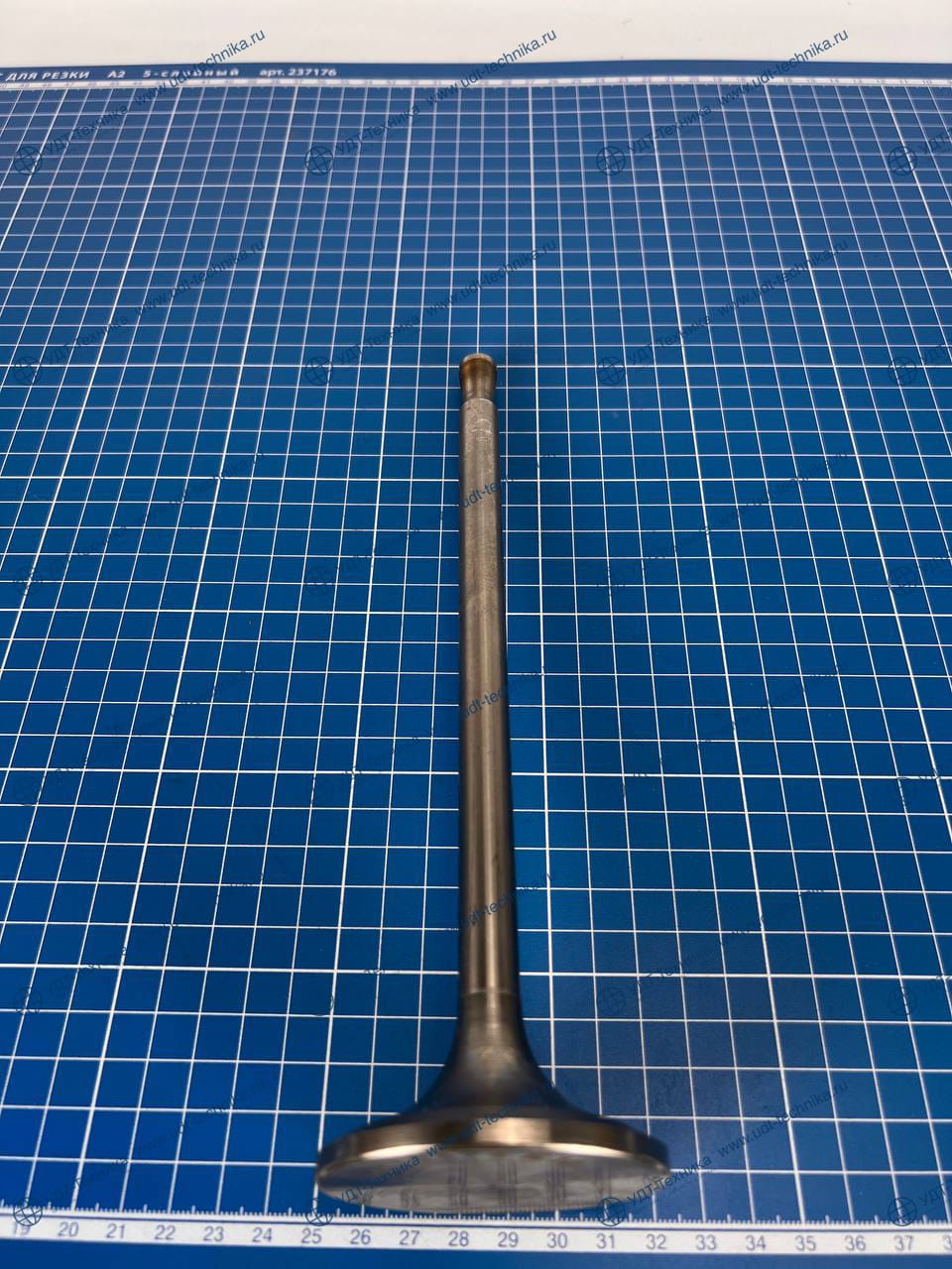 7M7817 Клапан выпускной - фото 3