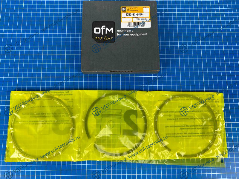6251-31-2030 Комплект поршневых колец - фото 2