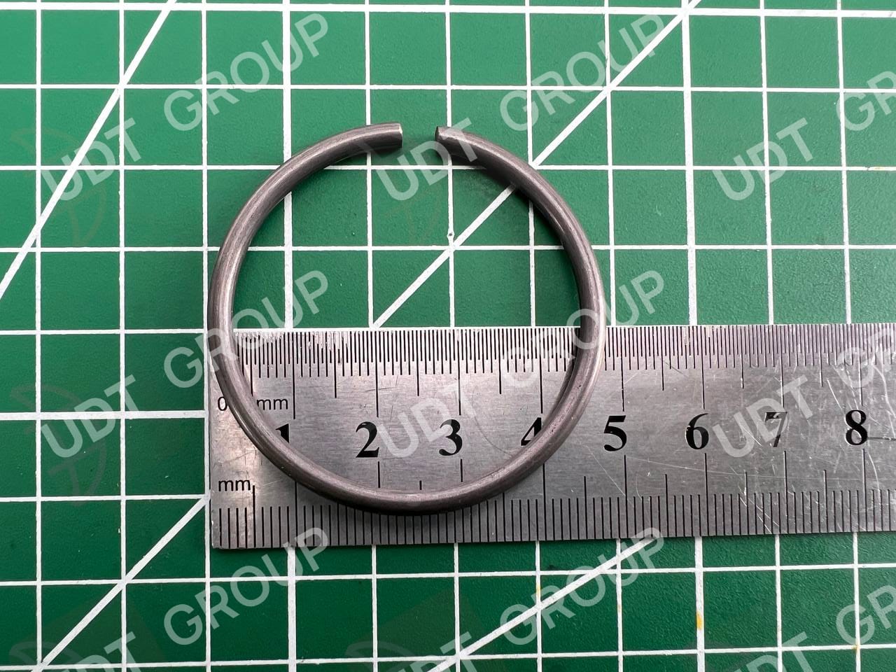 CA0147349 Кольцо