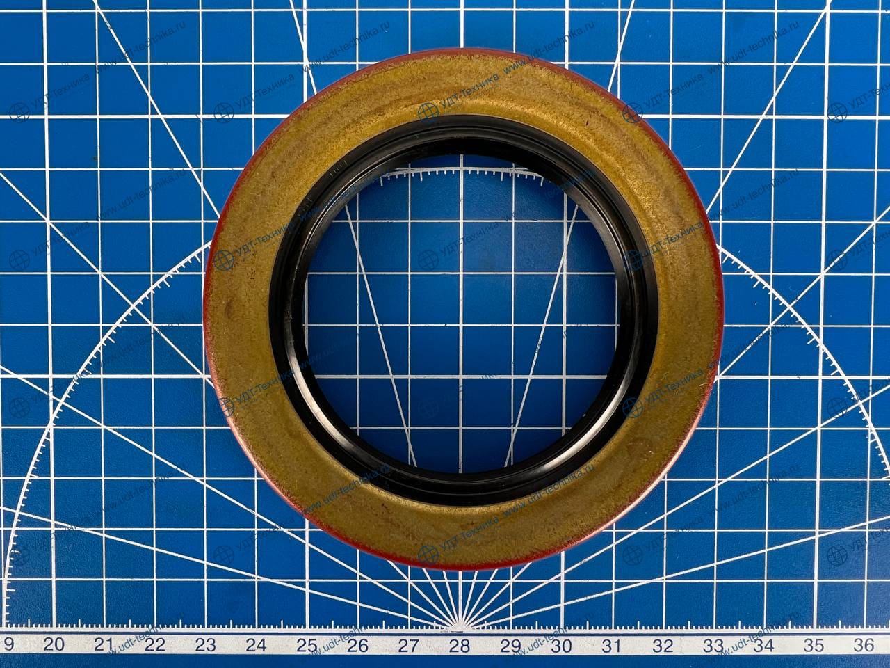 1S6543 Сальник