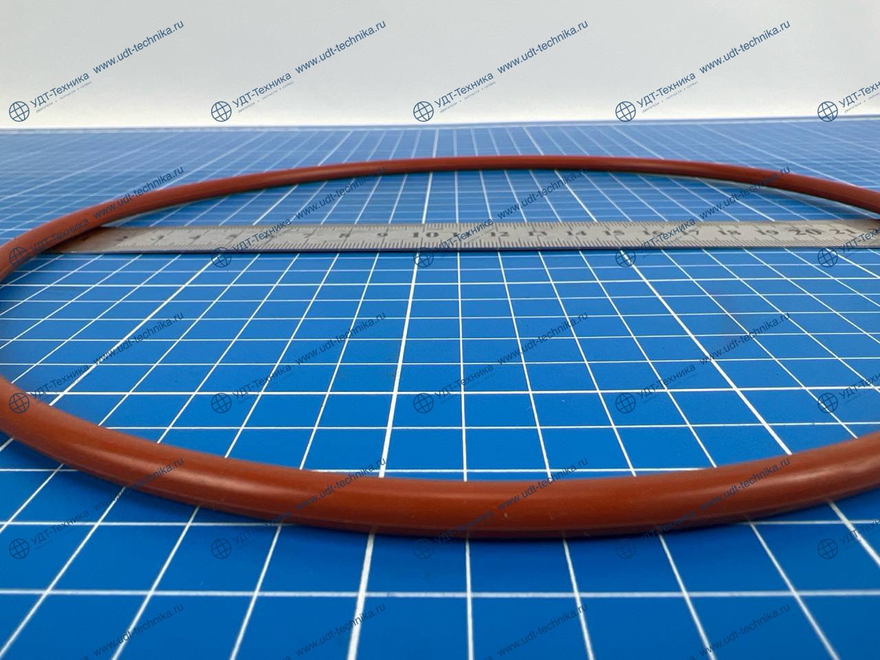 GEOR5,70X219,30M6 О-кольцо