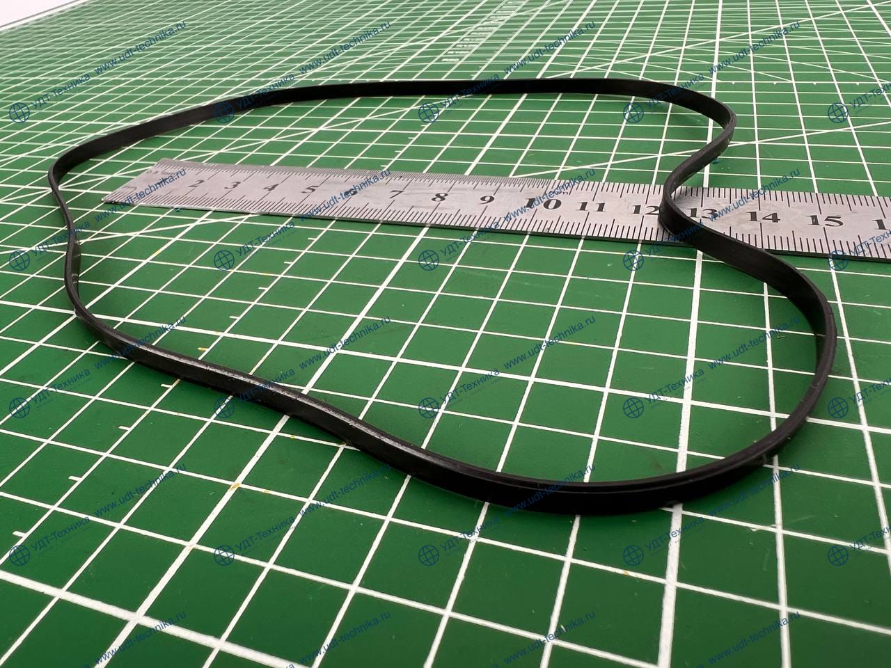 4000504 Кольцо уплотнительное - фото 2