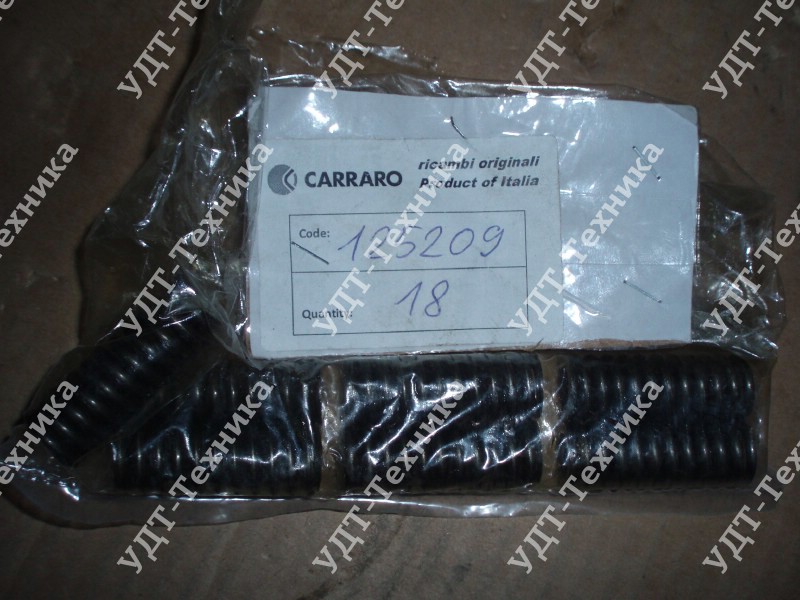 CA0125209 Пружина