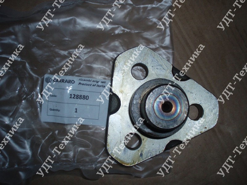 CA0128880 Шкворень